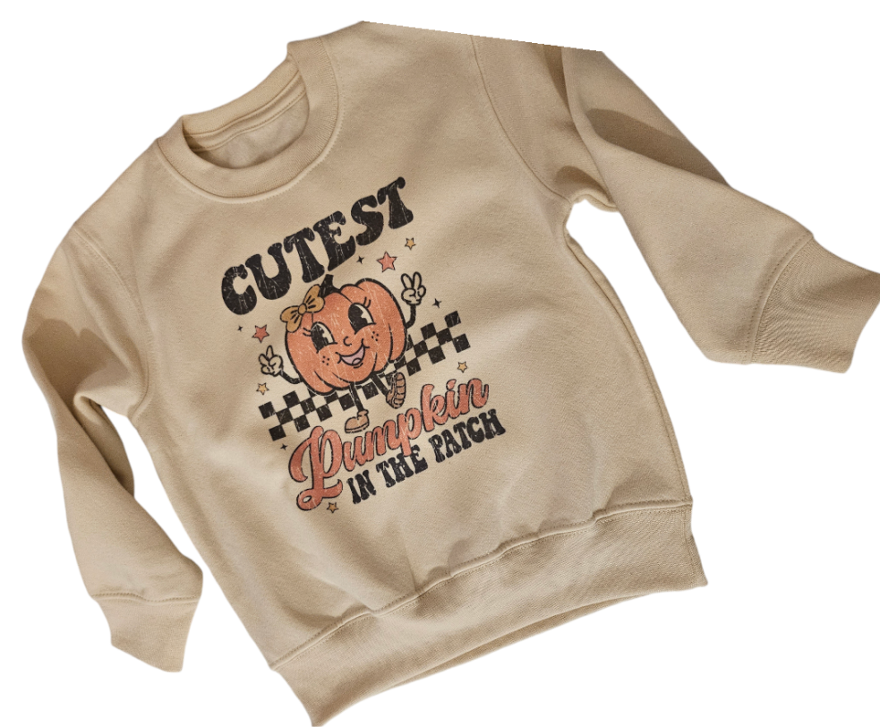 Girls cutest pumpkin jumper