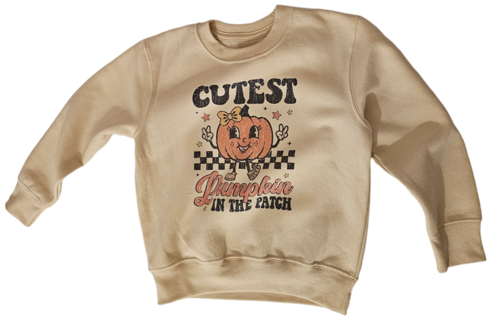 Girls cutest pumpkin jumper